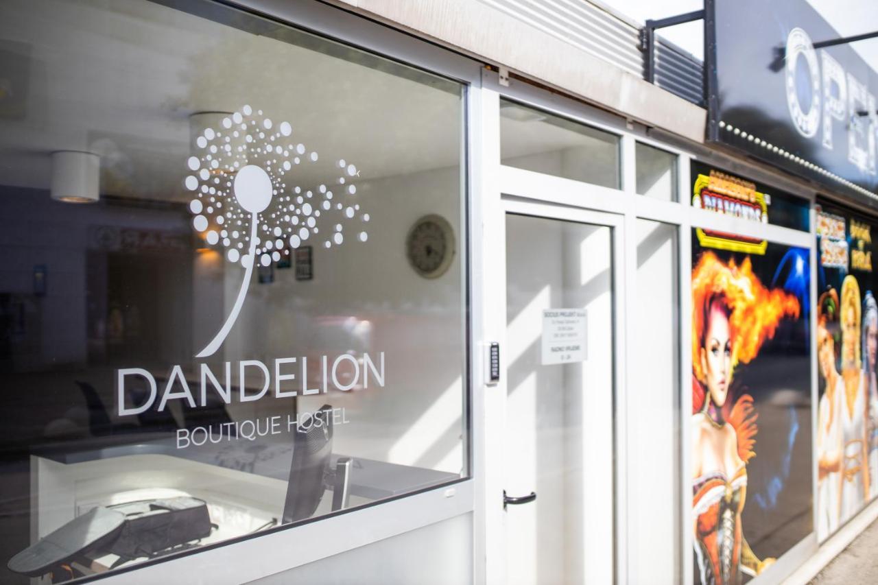 Dandelion Hostel Zadar Exterior photo